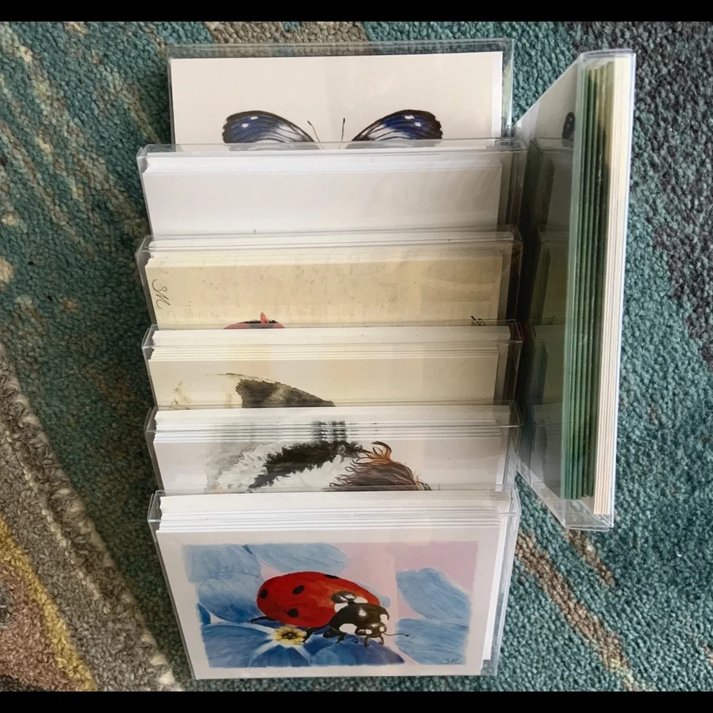 Boxed Set of 6 Note Cards. Whimsy Bluebird SKU 178